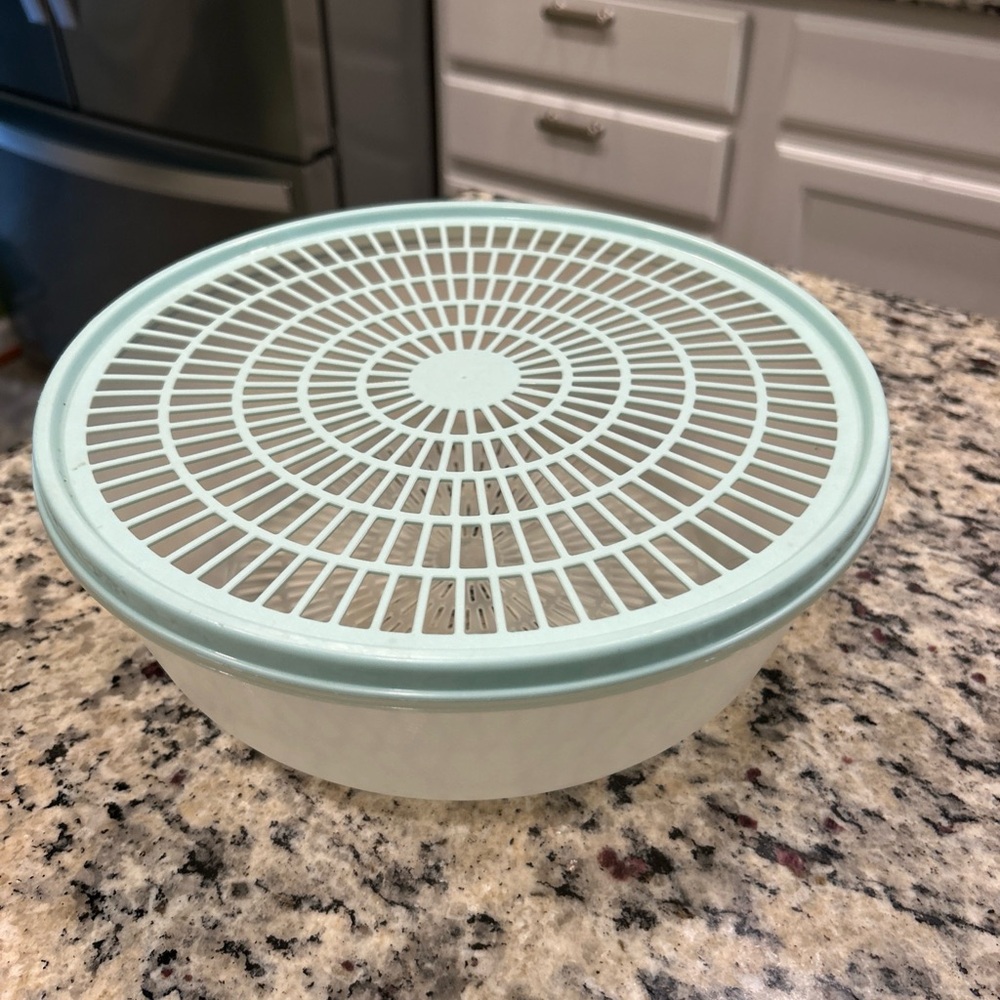 Tupperware Pastel Green and White colander